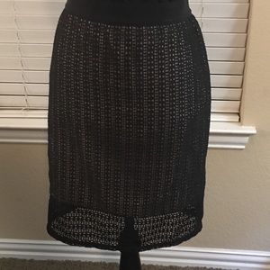 Ann Taylor Eyelet Skirt _ Size 10P